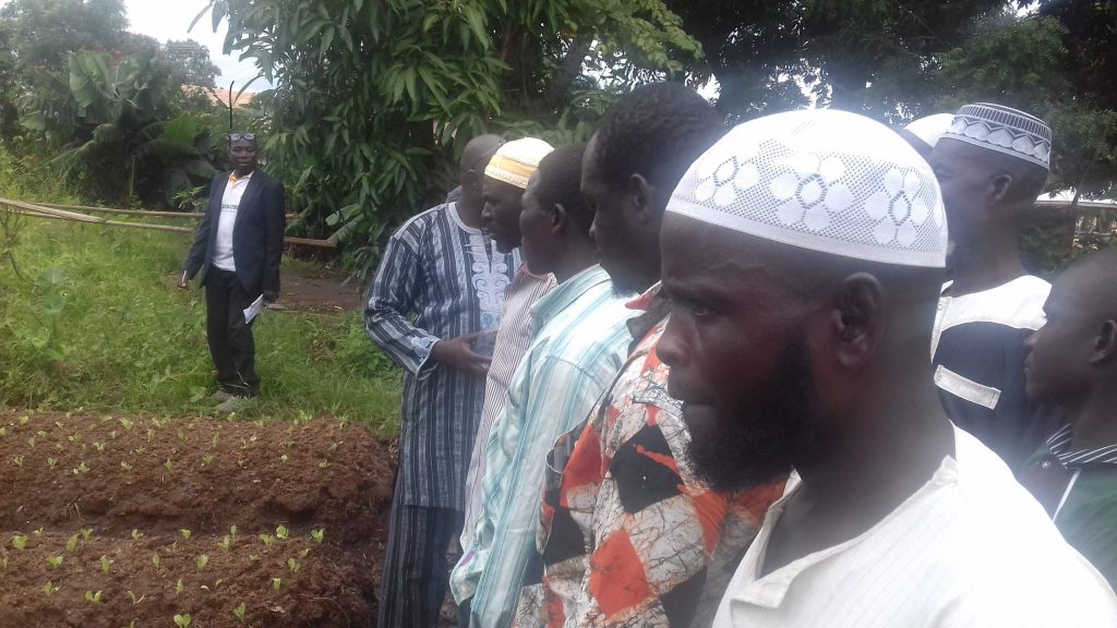 WUZDA distributes Sheep to members of Communities in its Operational&nbsp;Districts