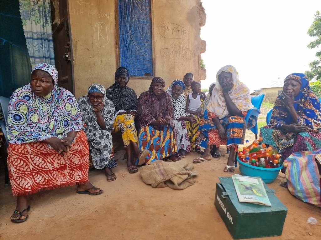 WUZDA GHANA VSLA&nbsp;INITIATIVE